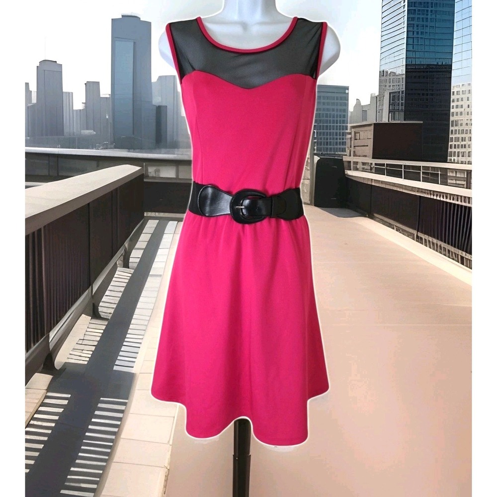 Urban Rose Dress 2X Pink‎ Black Mesh Fit n Flare Sleeveless Belted USA Made NWT